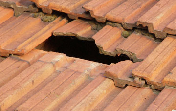 roof repair Esgairgeiliog, Powys