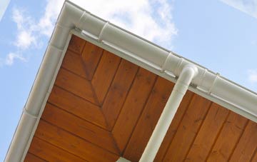 Esgairgeiliog soffit types